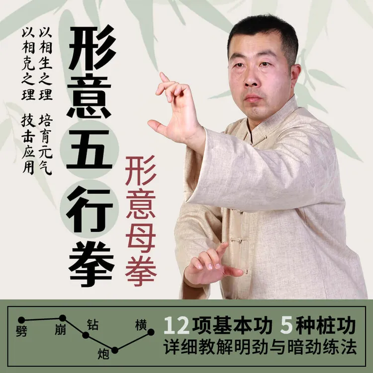 形意五行拳 全套视频自学教程零基础新手入门到实战搏击格斗武术
