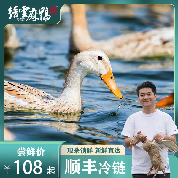 缙雲麻鸭正宗地标缙云老麻鸭1000g生态土鸭老麻鸭顺丰包邮