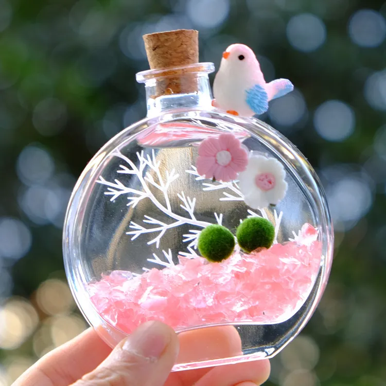 MARIMO海藻球香水瓶微景观球藻生态瓶室内桌面盆栽水培植物营养液