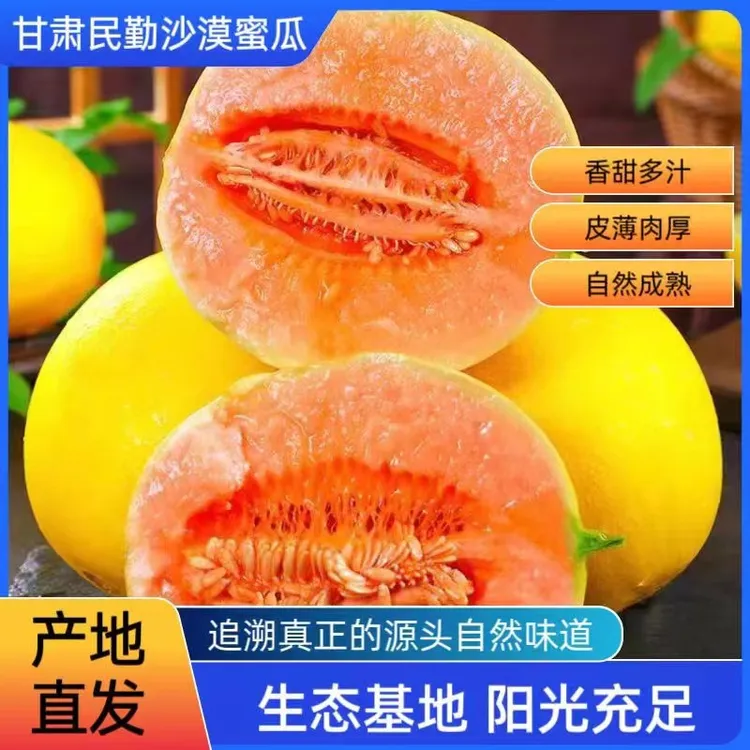 【坏果包赔】甘肃民勤沙漠蜜瓜 金红宝 新鲜水果6-9斤装