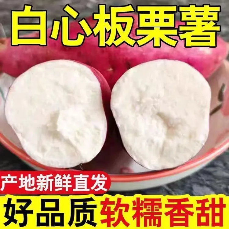新鲜现挖老品种红皮白瓤白心红薯粉面干香板栗地瓜