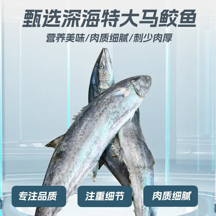 荣成船捕渤海燕尾鲅鱼（马鲛鱼）切块散装称重贴体盒340g/盒 