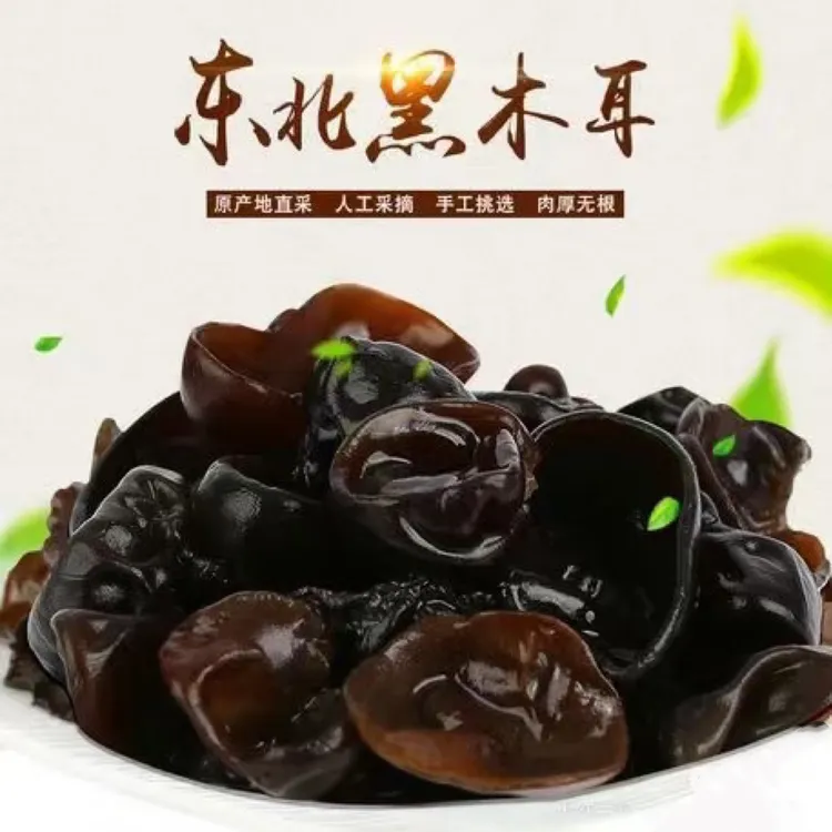 正宗东北特产乒乓球比赛黑木耳记录生活徐翰林