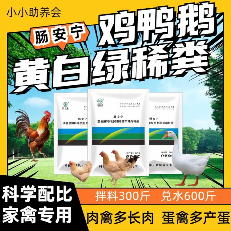 禽用肠道肠安宁正品鸡鸭鹅鹌鹑鸽猪牛兔饲料添加剂黄白绿稀不成形