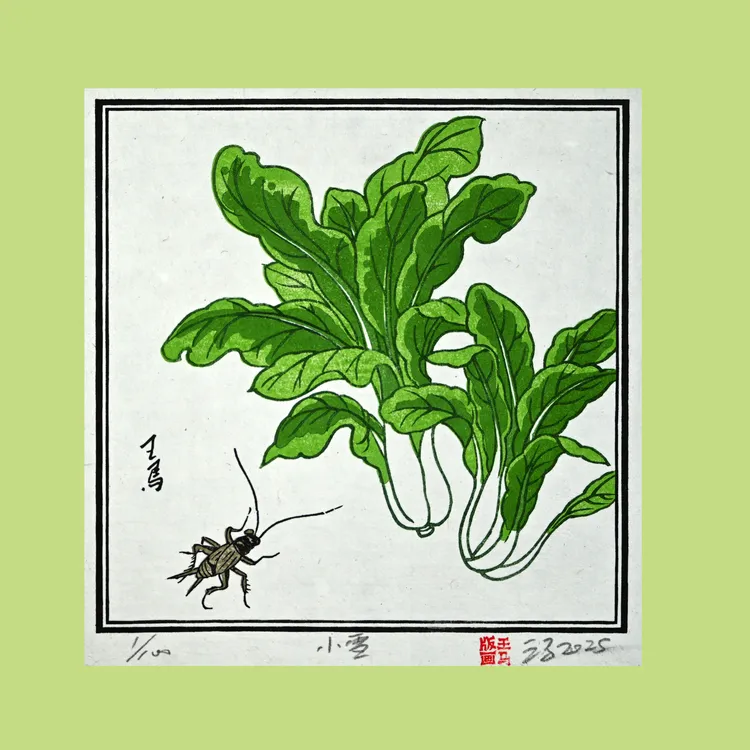 纯手工传统水印木刻版画, 植物先生“二十四节气之小雪”