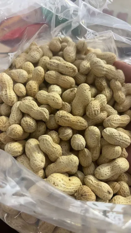 蒜香花生带壳花生带壳新鲜营养软糯鲜香追剧晒干搭子小花生水花生