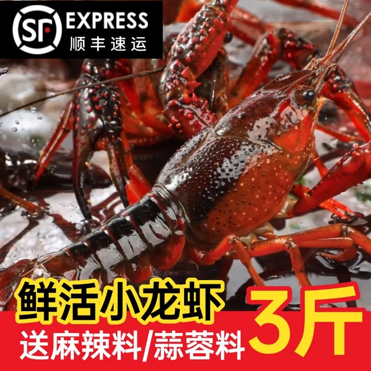 鲜活小龙虾3斤家庭装当季包肥青壳红壳带麻辣料/蒜蓉料