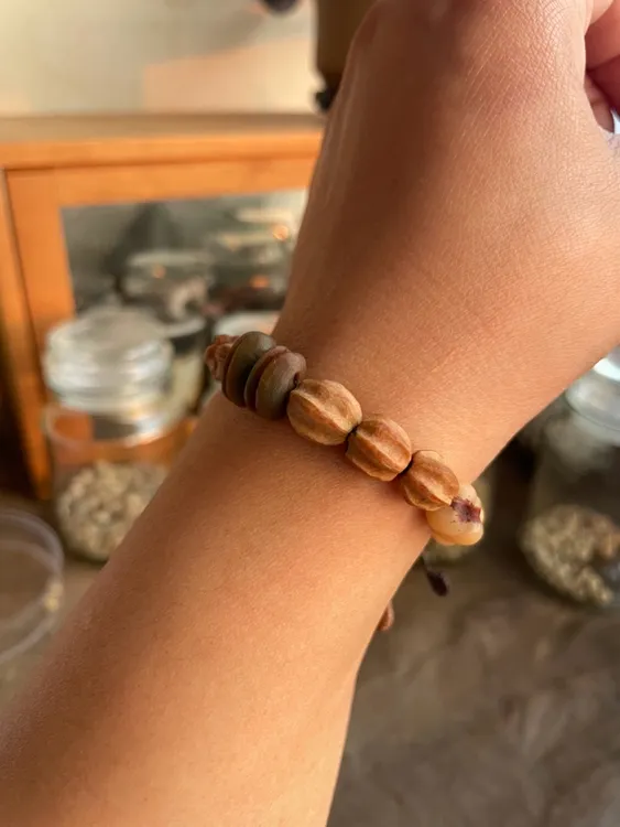 非金属木质手链 金佛草/棕榈中与苦楝子混搭手串