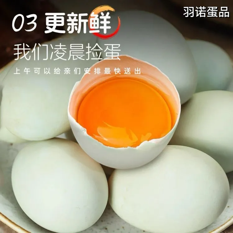正宗散养新鲜土鸭蛋生鸭蛋现捡现发绿色无激素鸭蛋批发零售