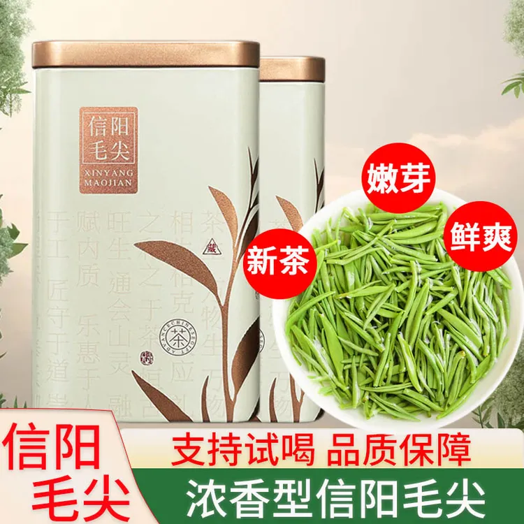 信阳毛尖茶叶2025新茶春茶正宗小芽河南高山绿茶高档节日送礼
