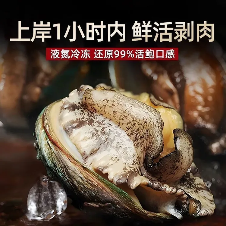 【店推】4-5.5cm新鲜鲍鱼纯肉去壳去内脏免杀免处理鲜活速冻鲍贝类