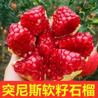 【6个装】软籽石榴单果200-300g新鲜当季水果鲜甜多汁无籽饱满