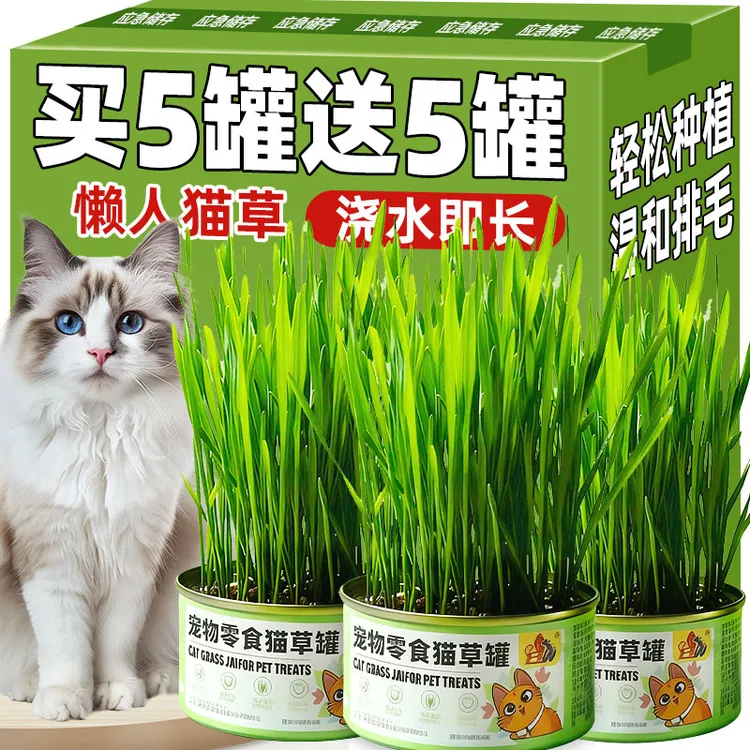 猫草罐种子育苗盘猫咪化毛草排毛自己种懒人猫草盆栽零食清理肠胃