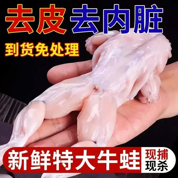 新鲜速冻 去内脏去皮 大号牛蛙  5斤