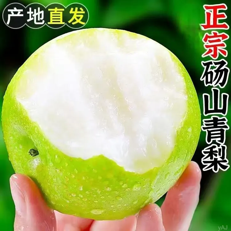 【青皮蜜梨】砀山青梨子新鲜水果甜砀山皇冠梨批发现摘现发当季水果