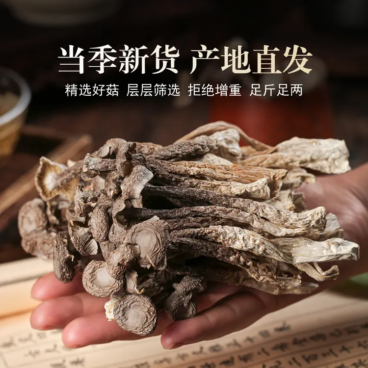 高山鹿茸菇干货肥厚炒菜炖煲鸡汤鲜美炒肉营养美味炖汤鲜香脆嫩
