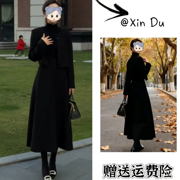 2025秋冬季新款时尚显瘦气质女士网红洋气两件套百搭款D24013