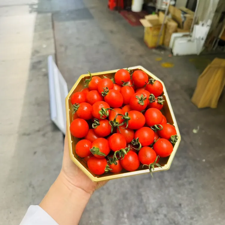 加厚01B金色八角型塑料吸塑轻奢一次性果切水果水果一次性打包盒