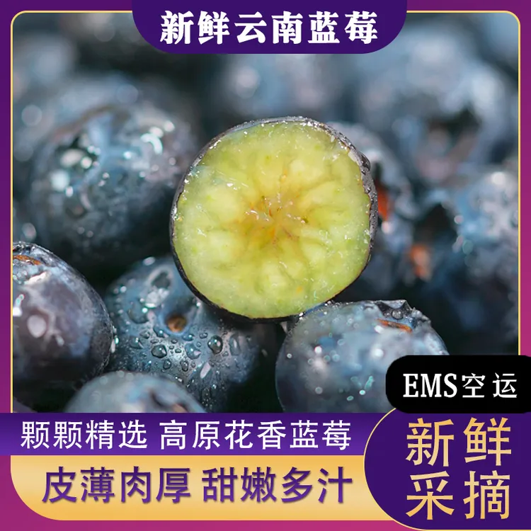 云南花香蓝莓新鲜当季水果肉厚脆甜酸甜可口颗颗甄选空运直达