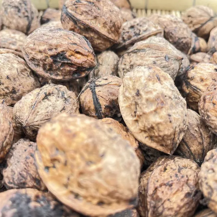 大凉山新鲜湿核桃5斤包邮 (星子门）
