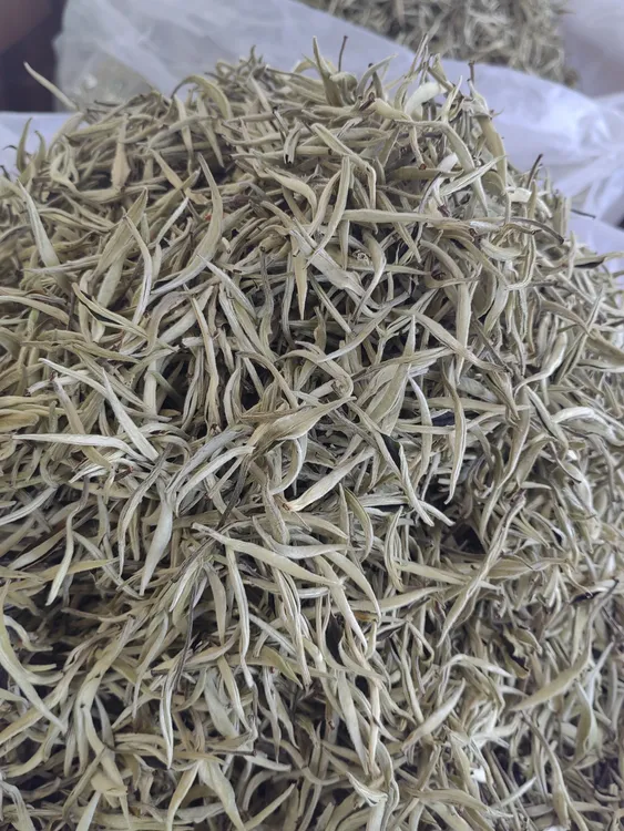 云南秧塔白茶烘青毫香蜜韵鲜爽鲜甜