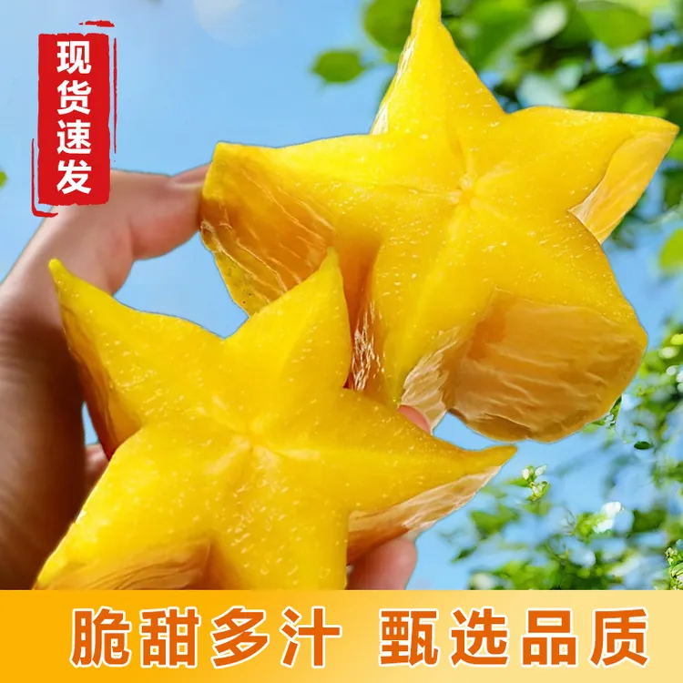 热卖当季水果漳州树上熟杨桃皮薄新鲜降火水果高端网红水果精选果