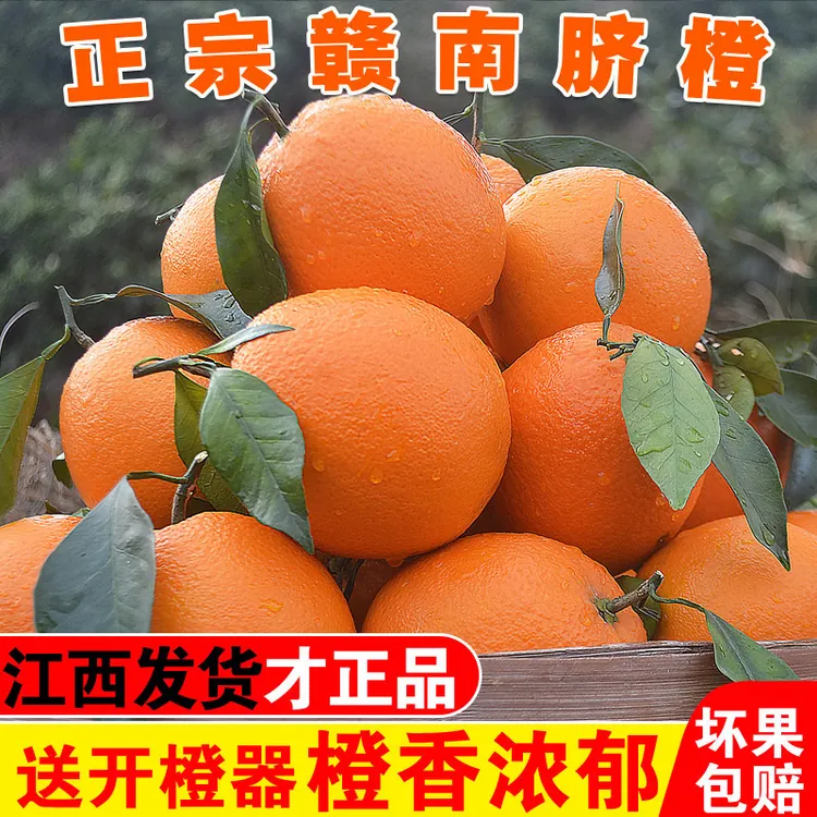 江西正宗赣南脐橙新鲜采摘香甜爆汁当季水果赣州产地直发坏果包赔