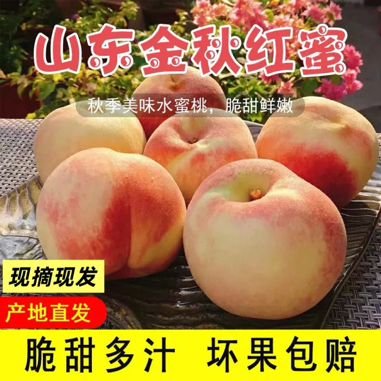 山东蒙阴金秋红蜜新鲜现摘桃子脆桃毛桃当季孕妇儿童水果脆甜多汁
