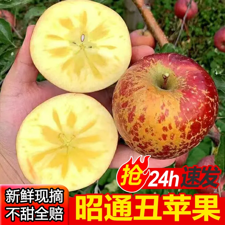 汇鲜匠冰印苹果现摘云南正宗昭通冰糖心丑苹果新鲜红富士甜水果