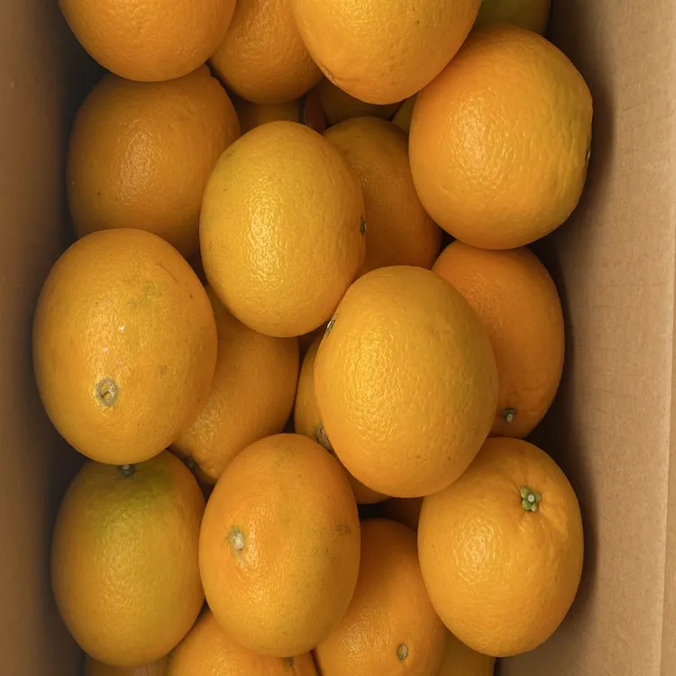 赣南脐橙 10斤 京东包邮