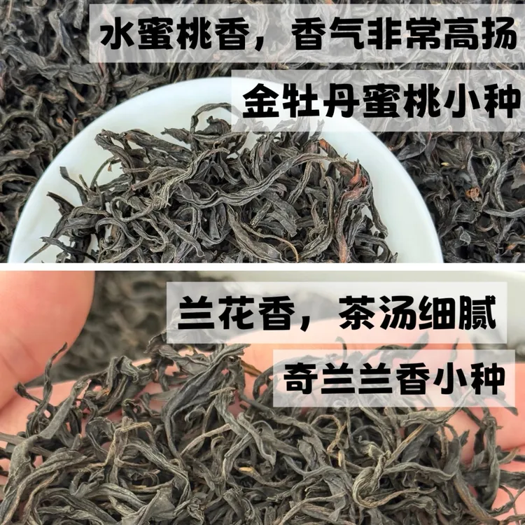 【兰香小种+蜜桃小种】2025武夷山正山小种红茶头春茶125克罐装礼盒