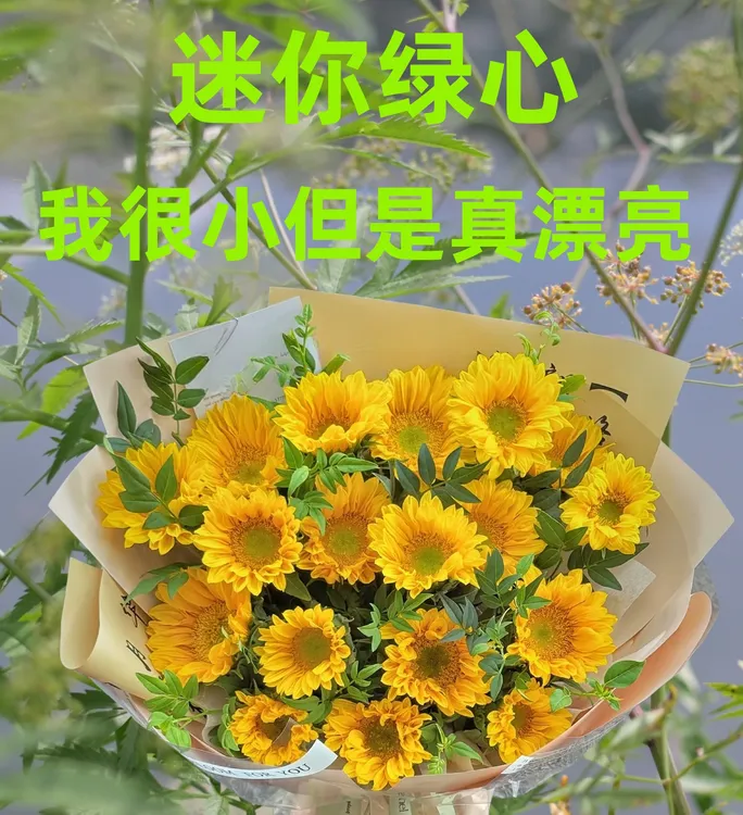 批发绿心迷你向日葵鲜切花水养云南基地直发国庆中秋婚庆用花空运