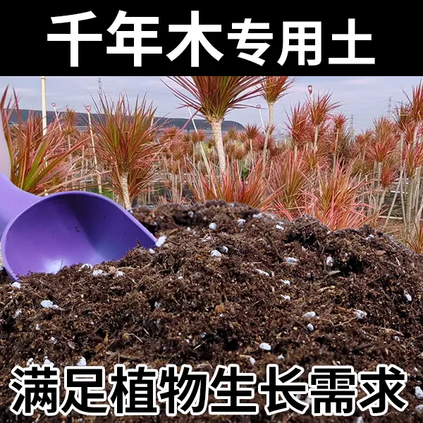 千年木专用土千年木营养土营养土植物通用型大袋花卉营养土腐叶土