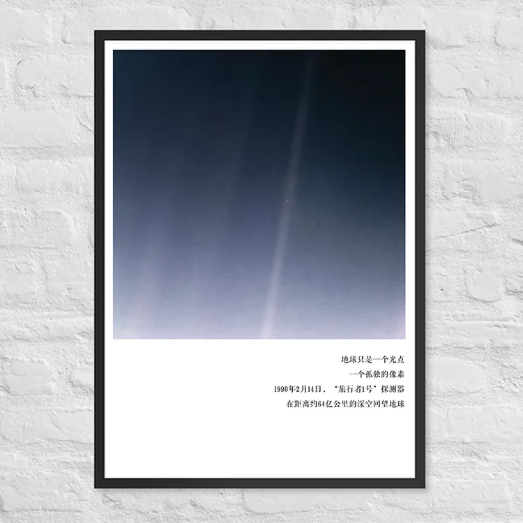 [暗淡蓝点]创意海报-AskMusk出品-挂画/摆画/装饰画/办公室/书房