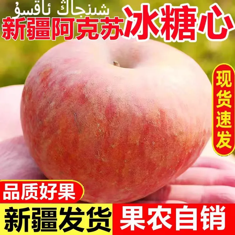 新红一号-红旗坡苹果冰糖心苹果水果