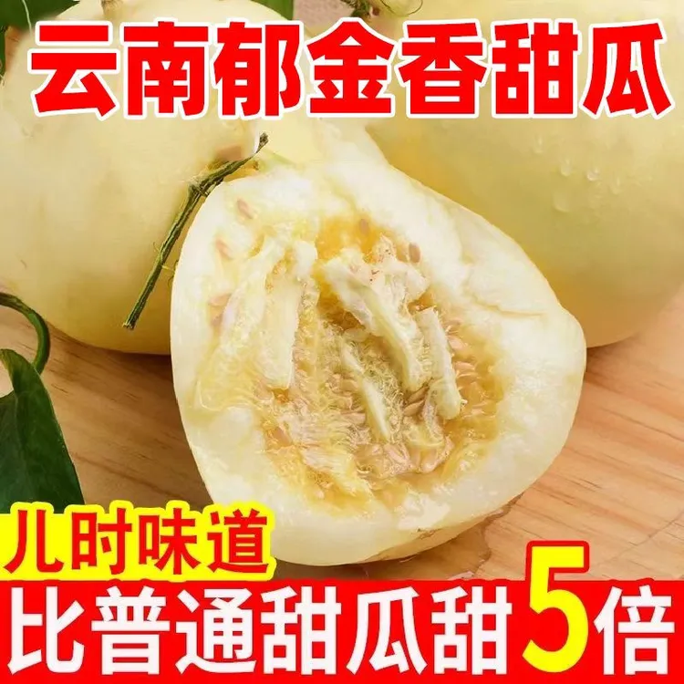 郁金香云南头茬甜瓜新鲜采摘当季水果哈密瓜甜瓜新鲜水果
