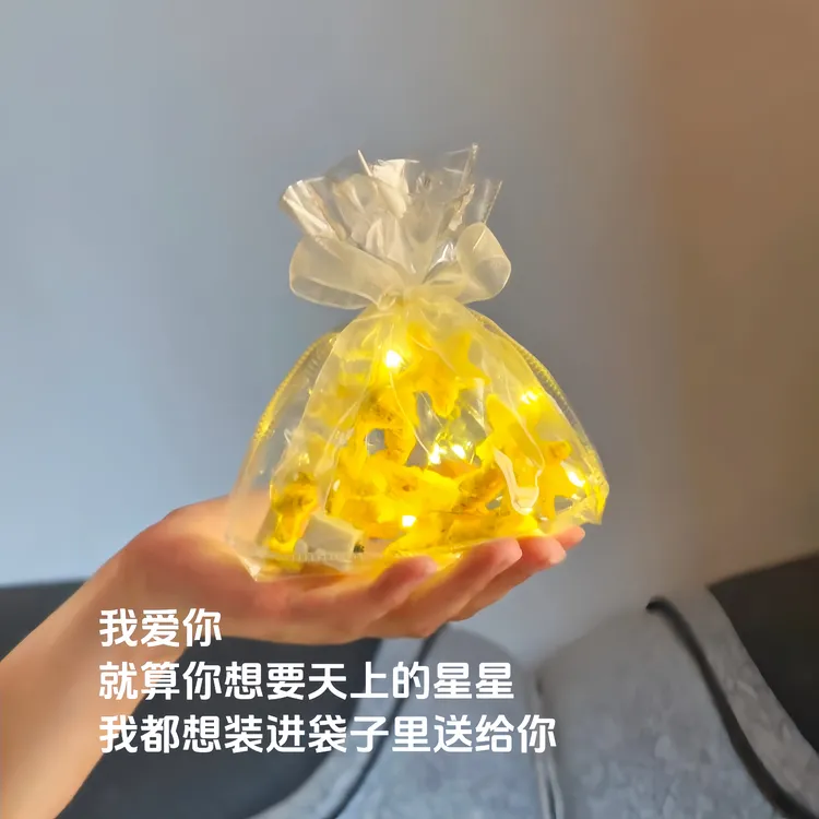 想把星星装进袋子里送给你DIY手工扭扭棒材料包送闺蜜送朋友情侣 