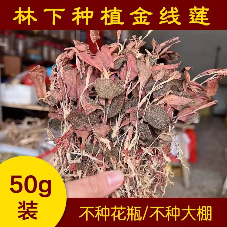 闽清依弟金线莲 金线莲 农产品 土特产农产品紫米