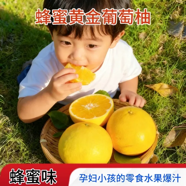 孕妇小孩小零食黄金葡萄柚正宗福建爆汁葡萄柚新鲜应季清甜多汁水