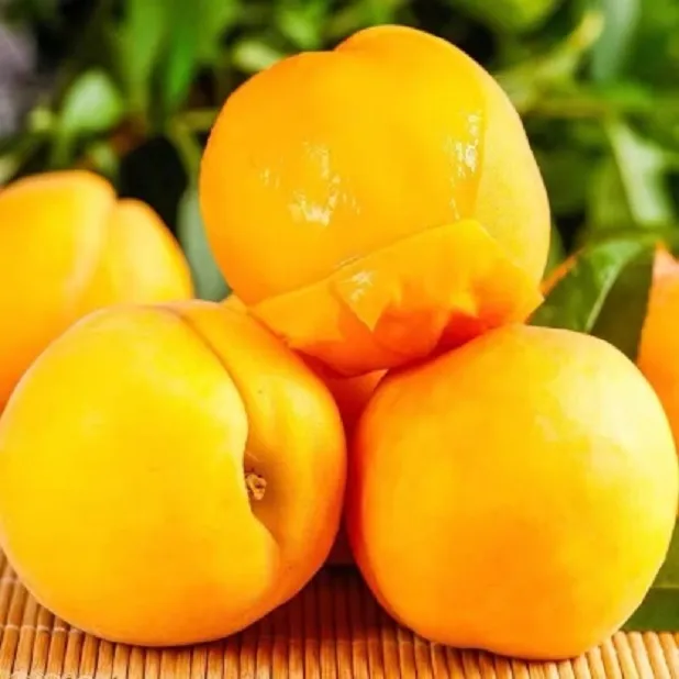 新鲜陕西黄桃鲜果脆甜多汁蜜桃当季大黄桃肉心毛桃子水果热卖水果