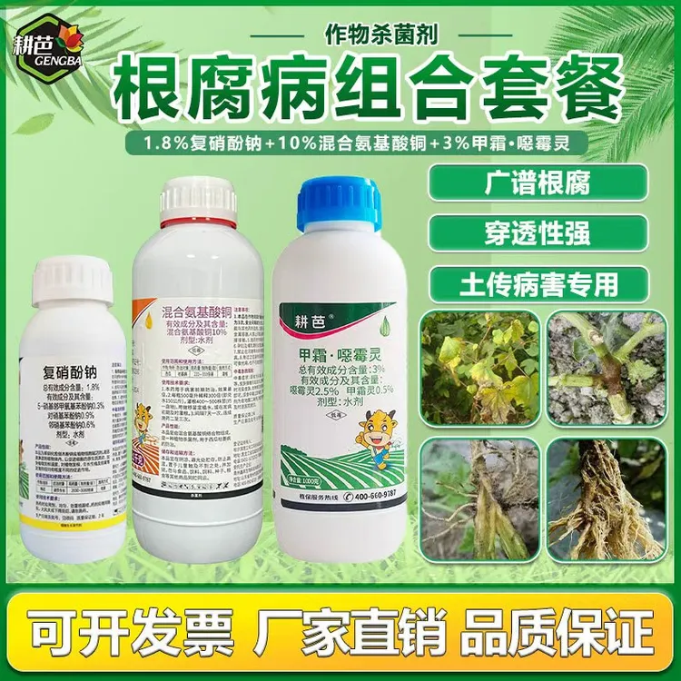 槟榔灌根药促生根套餐根腐烂根根腐槟榔黄化病混合氨基酸铜杀菌剂