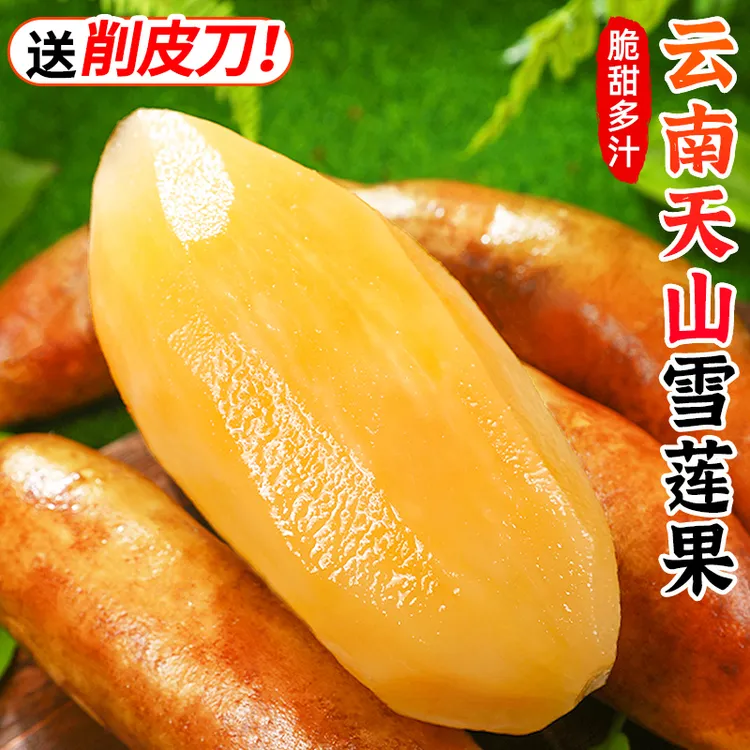【清甜多汁】天山雪莲果3-9斤脆甜现挖新鲜水果产地直发黄心雪莲果