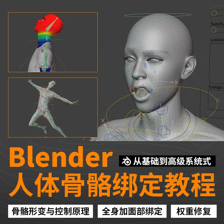 Blender教程人物角色骨骼绑定从基础到高级系统教学视频课程