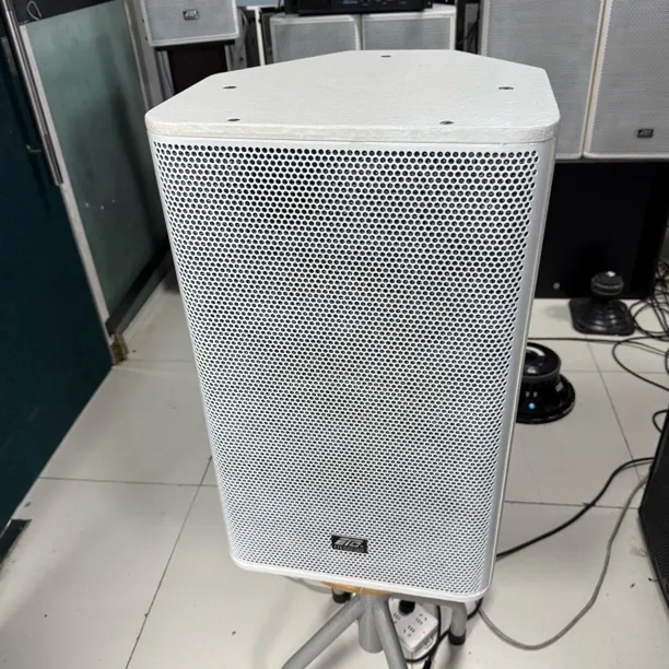 9新  意大利专业12寸音响一对不包邮