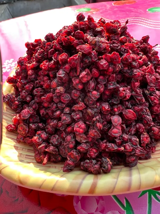 长白山北五味子无硫大颗粒手工晾晒油刚下来的大油子品质保证