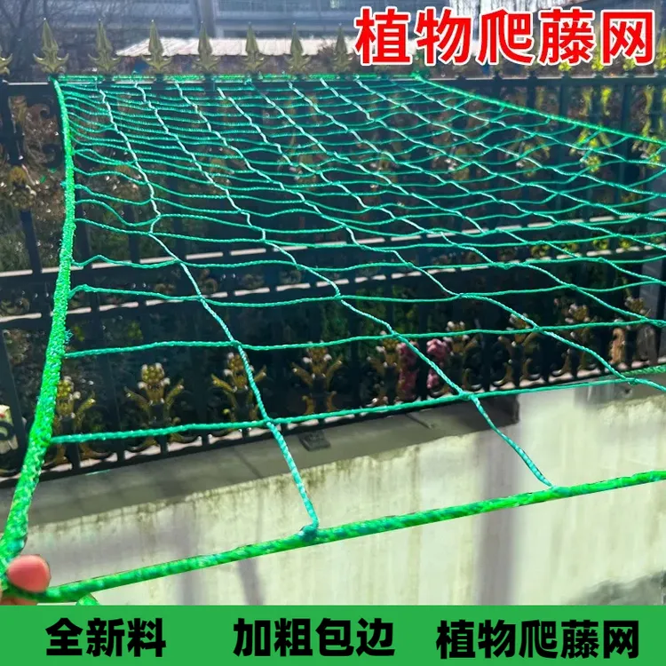 园艺爬藤网百香果专用庭院用品葡萄植物菜园种植花卉尼龙网搭架网
