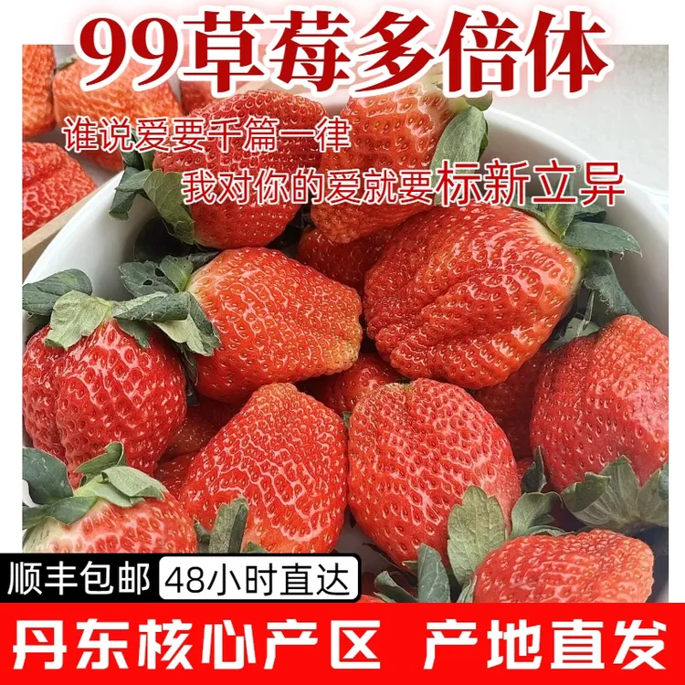 【买1斤送1斤，到手2斤】丹东99草莓35g+特大果东港新鲜采摘顺丰包邮