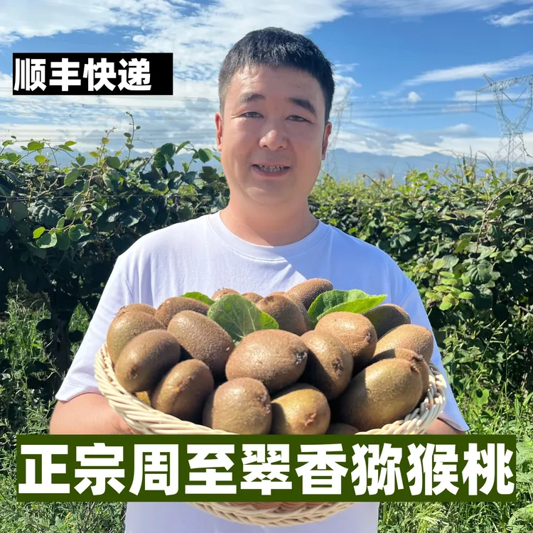 【顺丰快递】周至翠香猕猴桃很甜不酸新鲜采摘现摘现发坏果包赔