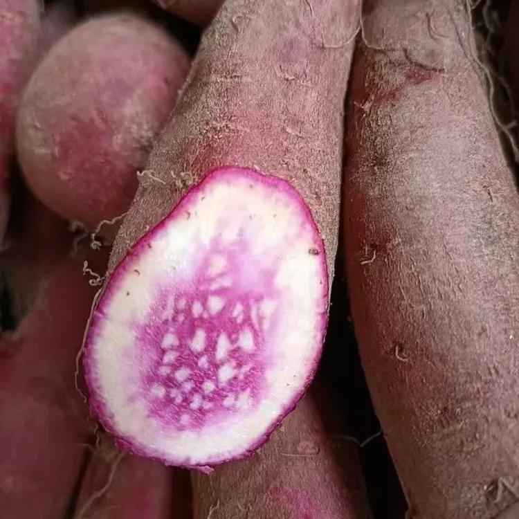 自种沙地新鲜现挖冰淇淋一点红番薯正宗粉糯香甜健康粗粮红薯