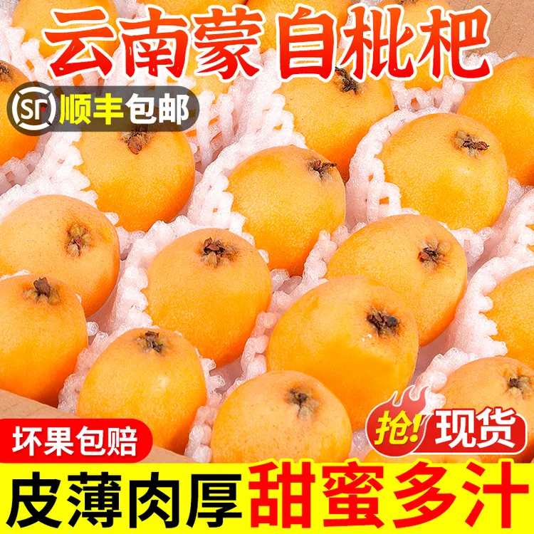【顺丰特快】云南蒙自枇杷新鲜水果当季长虹琵琶枇杷树上熟顺丰包邮